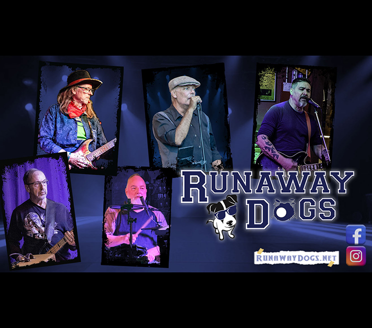 Runaway Dogs